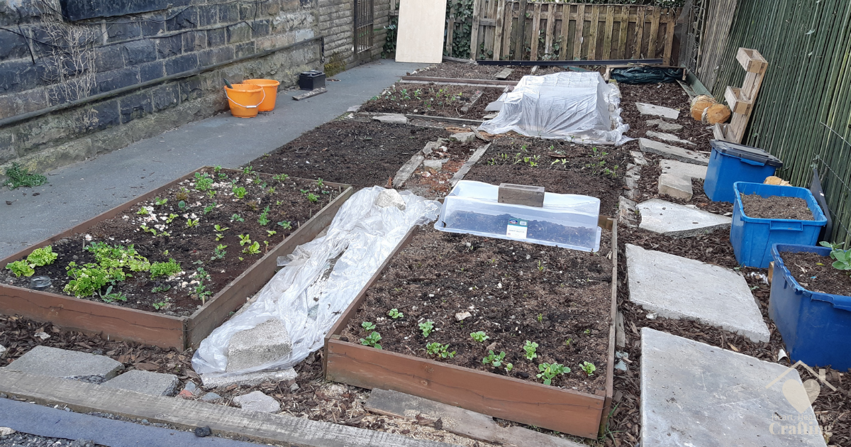Garden Progress Late April 2021