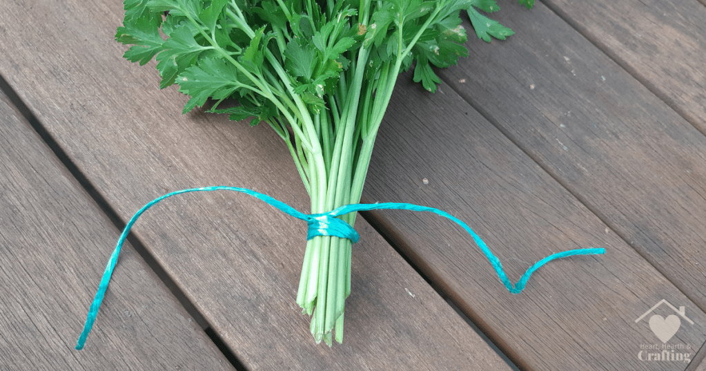 How to Dry Herbs the Old Fashioned Way