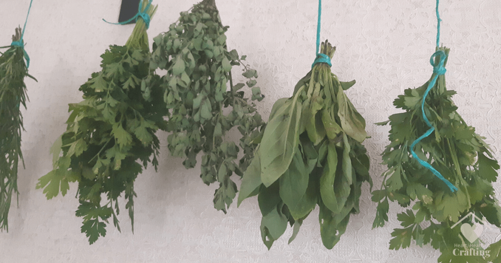How to Dry Herbs the Old Fashioned Way