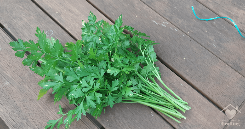 How to Dry Herbs the Old Fashioned Way