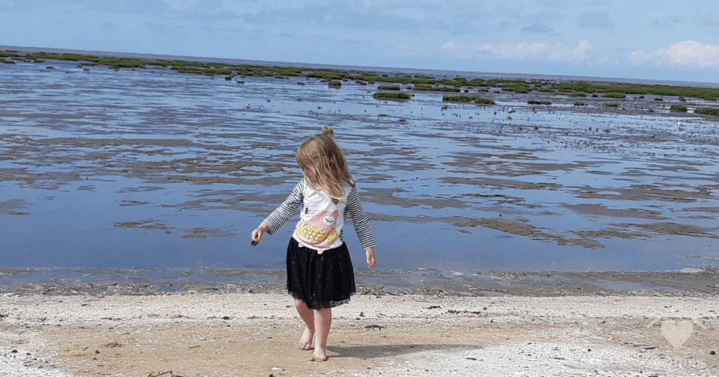 Trip to Southport Beach and Pier