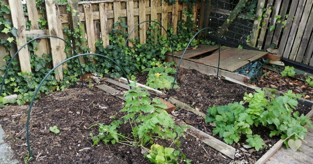Vegetable Garden Bed 7