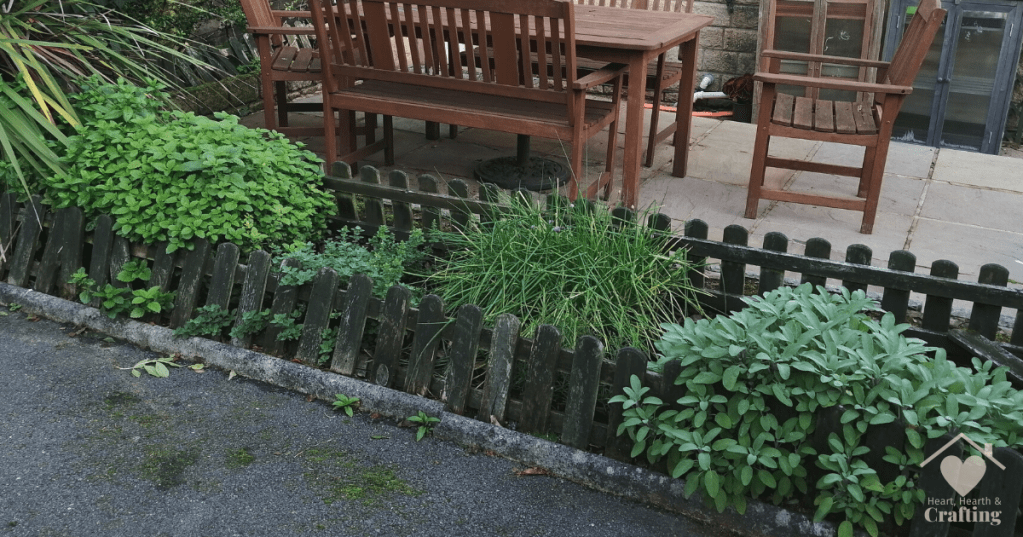 Herb Garden