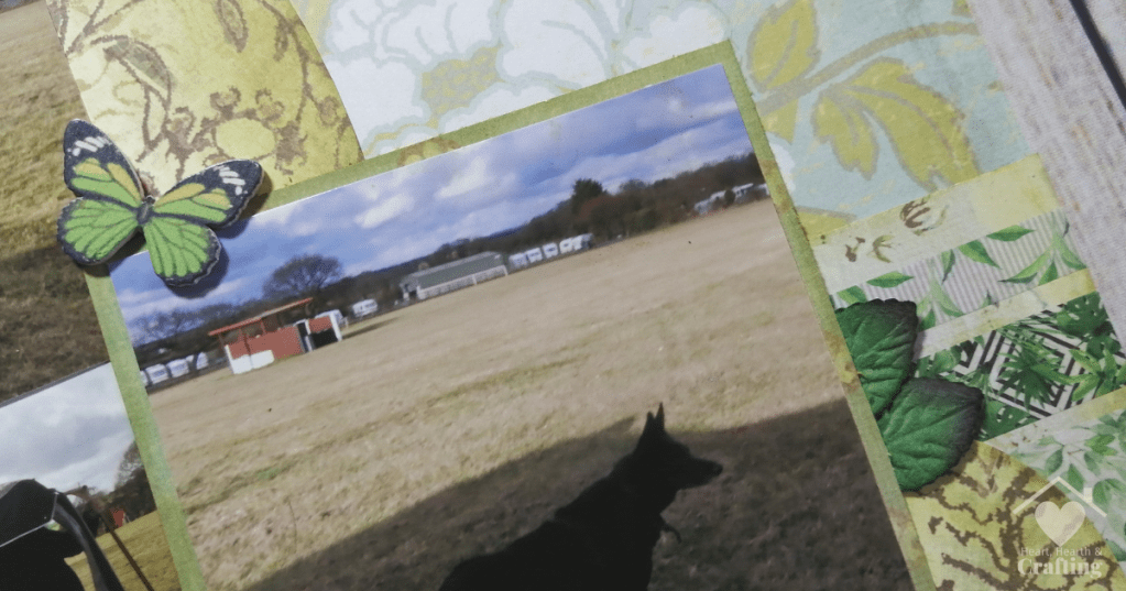 Royal Umpire Scrapbook Layout with My Minds Eye - Embellishments