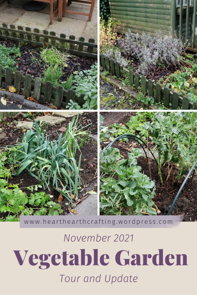 Vegetable Garden Update – November 2021