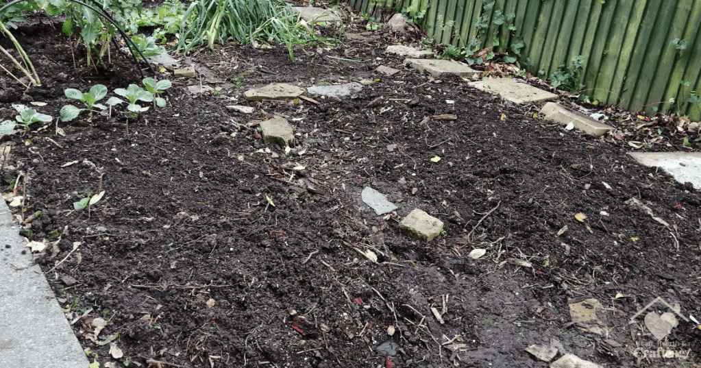 Vegetable Garden Beds 3 & 4