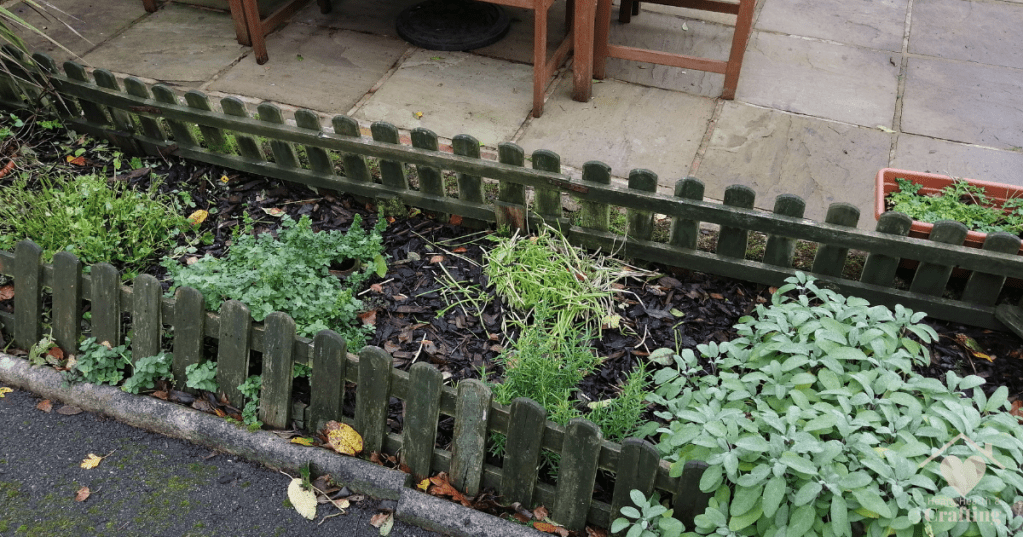 Herb Garden
