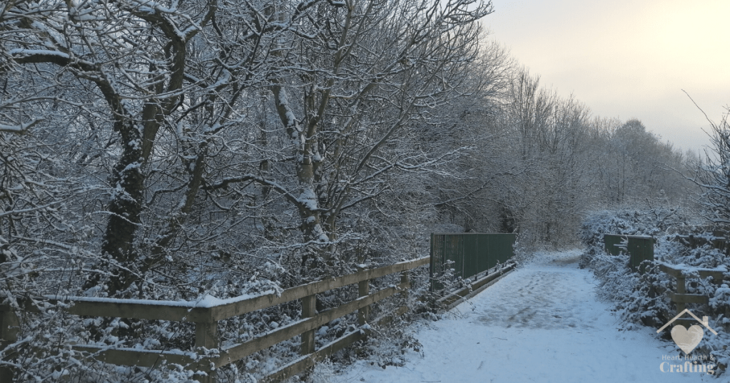 Snowy Winter Walk