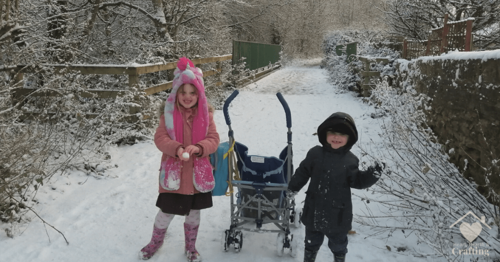 Snowy Winter Walk