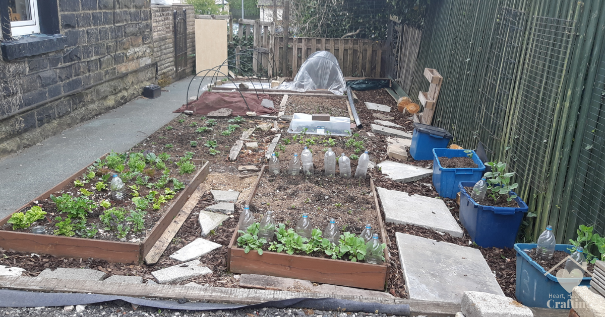 Garden Progress Mid May 2021