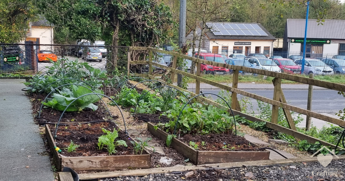 Vegetable Garden Update – October 2023