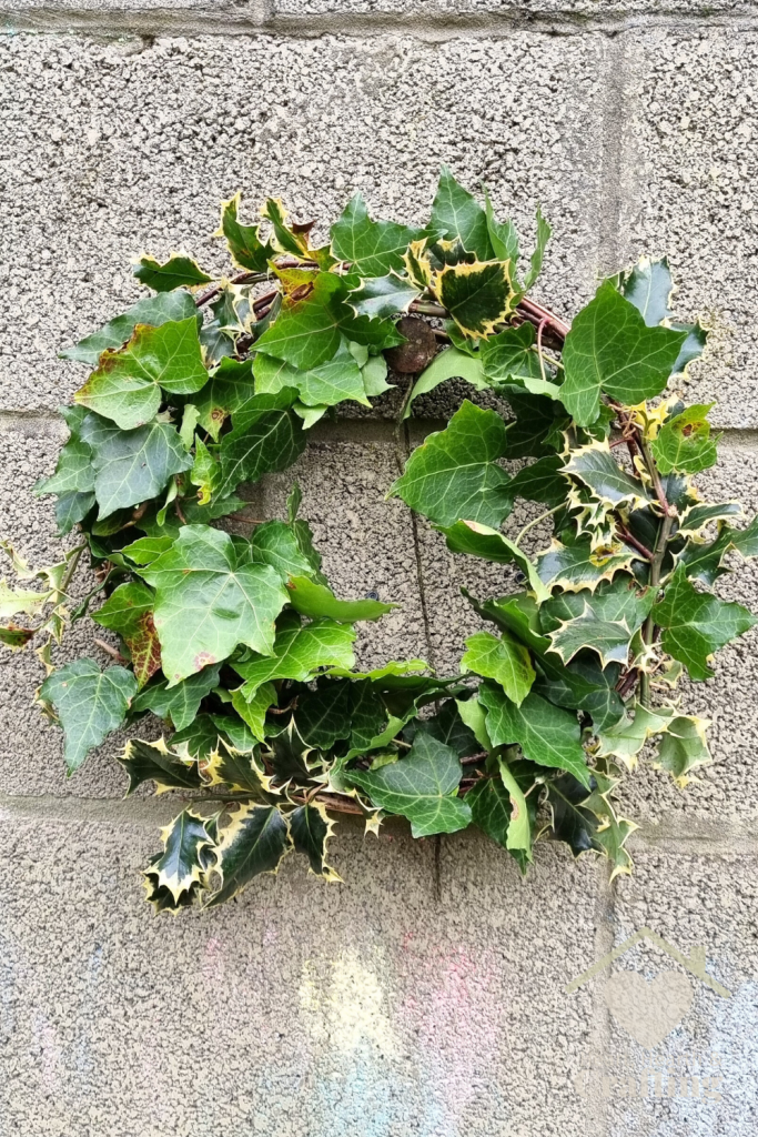 How to Make a Holly and Ivy Wreath Pinterest