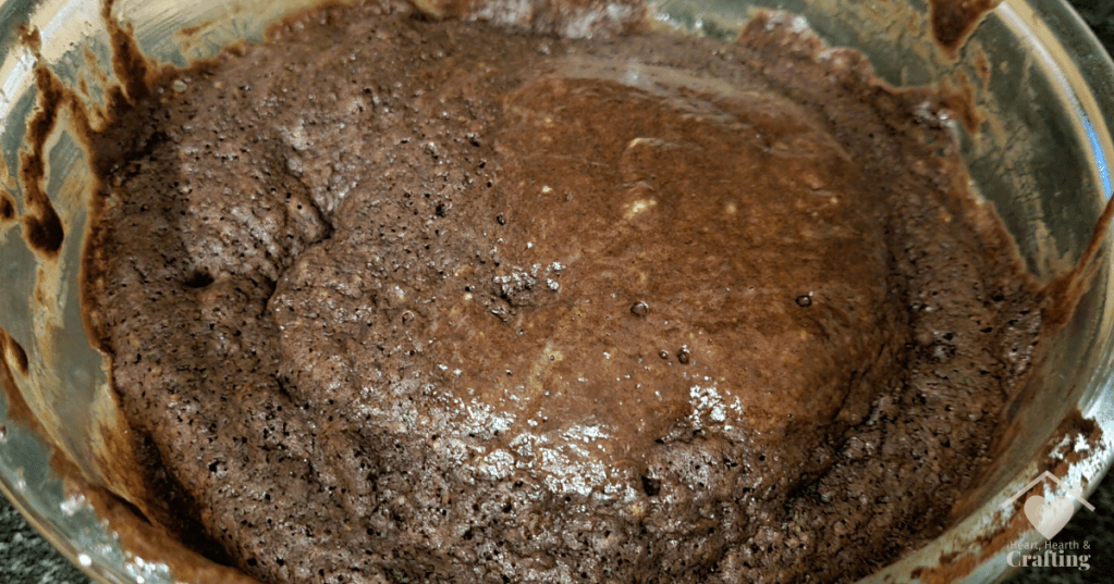 Microwave Chocolate Sponge Cake Recipe – Super Quick and Easy