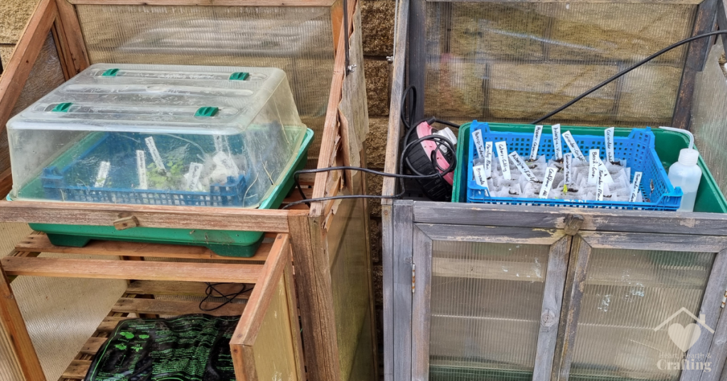 Vegetable Garden Update – March 2024