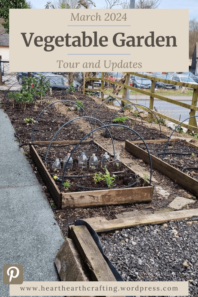 Vegetable Garden Update – March 2024 Pinterest Pin