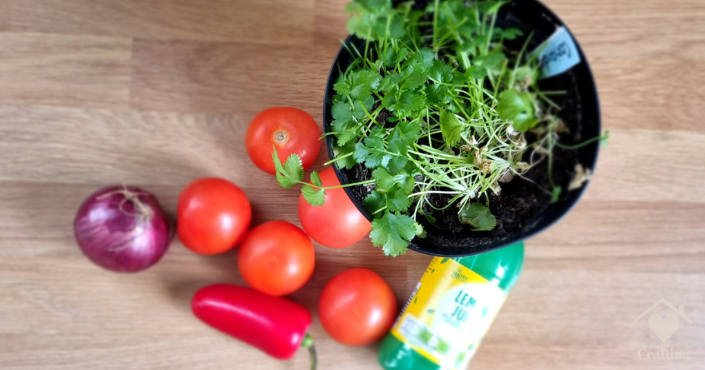 Tomato Salsa Recipe