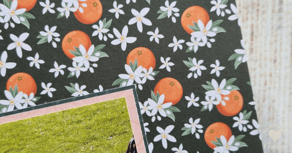 Park Life Baby Scrapbook Inspiration